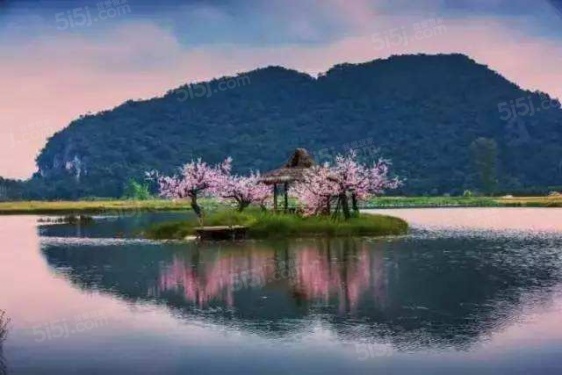 阳光温莎郡第20张图